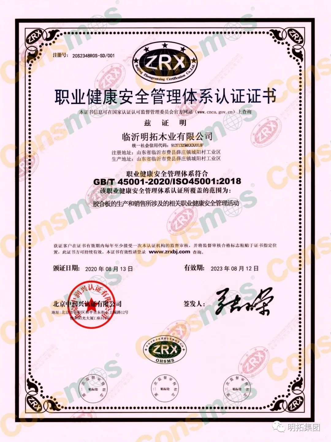 職業(yè)健康安全管理體系認(rèn)證證書(shū)中文版.jpg